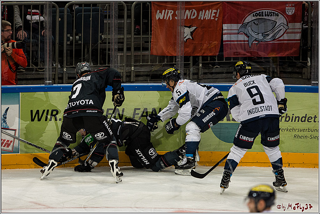Koelner Haie - ERC Ingolstadt, 23.10.2016